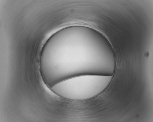 X0000113121531200908281029