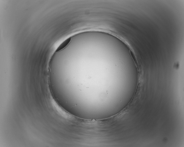 X0000113121532200908281029
