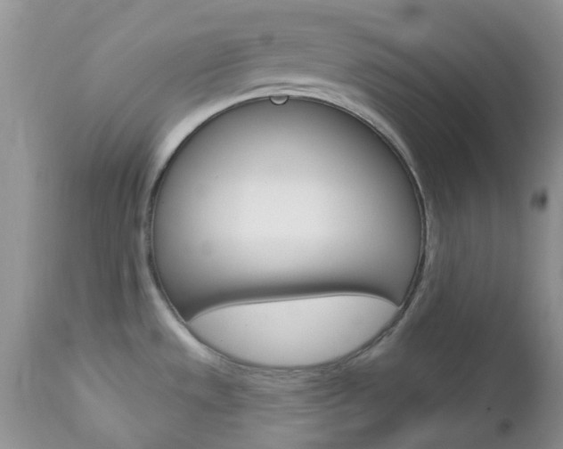 X0000113121533200908281029