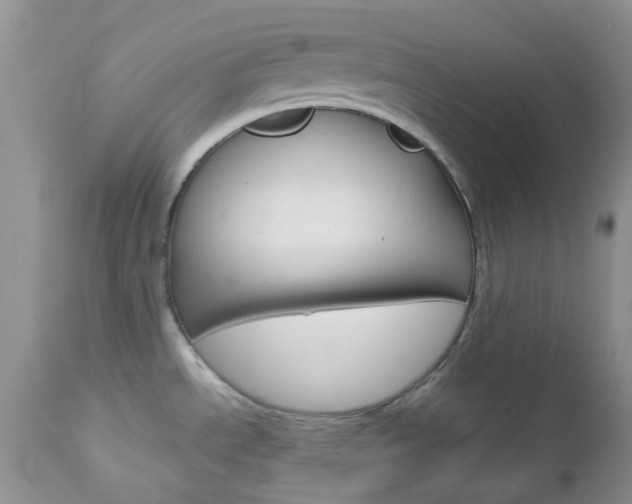 X0000113121534200908281029