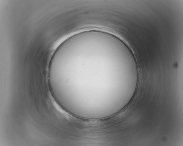 X0000113121535200908281029