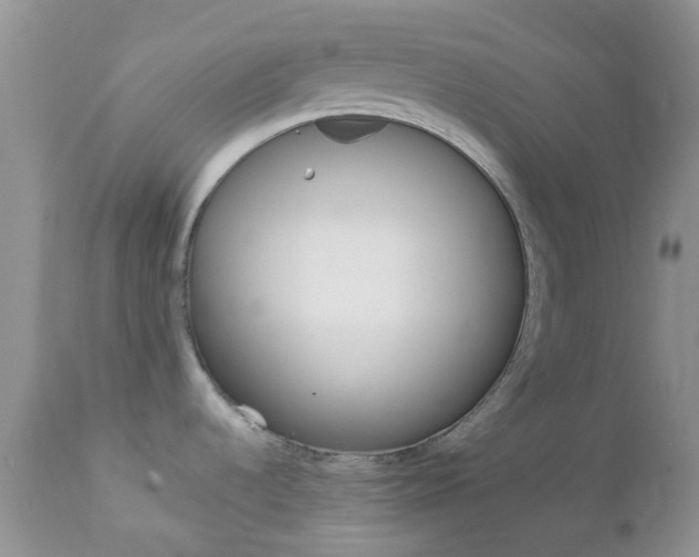 X0000113121536200908281029