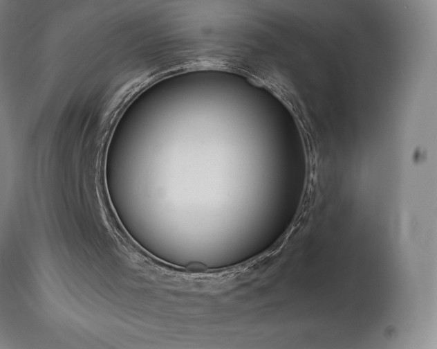 X0000113120001200908281449