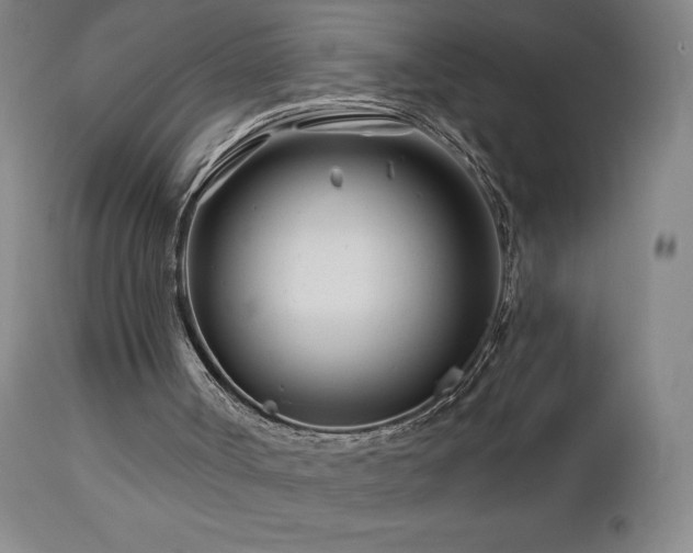 X0000113120002200908281449