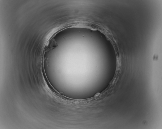 X0000113120003200908281449