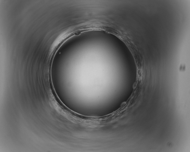 X0000113120004200908281449