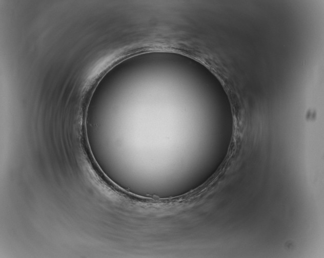 X0000113120005200908281449