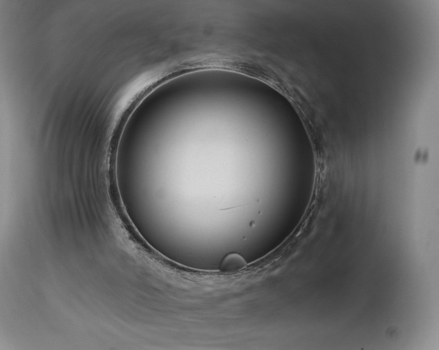 X0000113120006200908281449