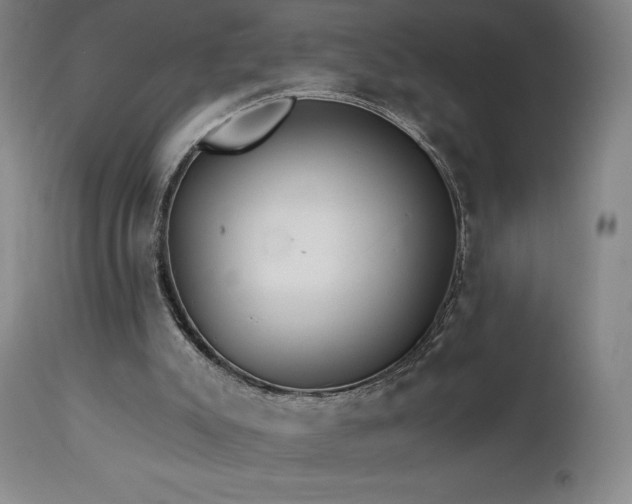 X0000113120007200908281449