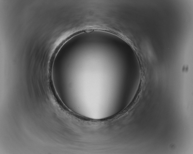 X0000113120008200908281449