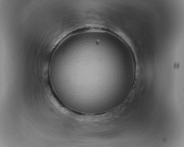 X0000113120009200908281449