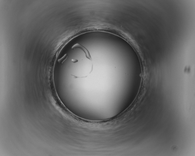 X0000113120010200908281449