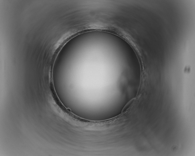 X0000113120011200908281449