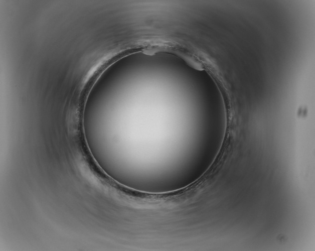 X0000113120012200908281449