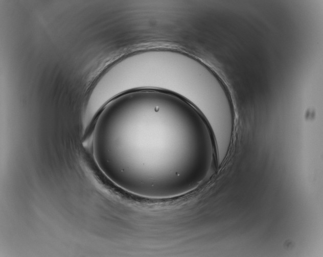 X0000113120013200908281449