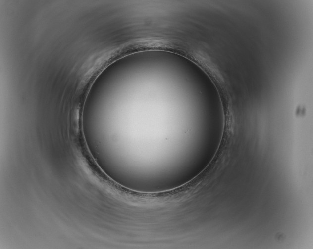 X0000113120014200908281449