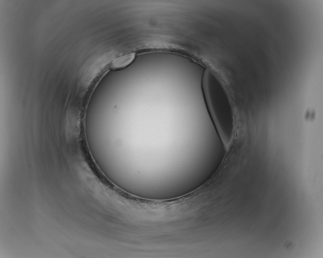 X0000113120015200908281449