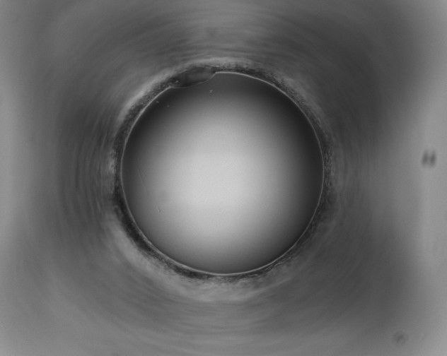 X0000113120016200908281449