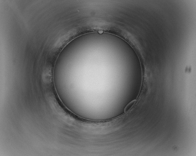 X0000113120017200908281449