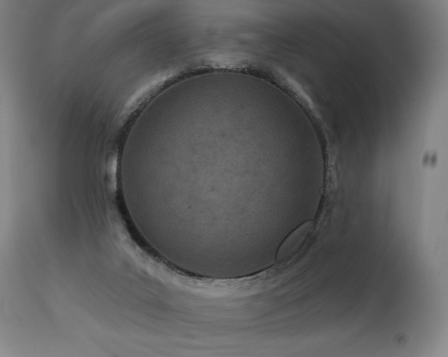 X0000113120019200908281449