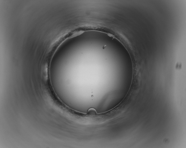 X0000113120020200908281449