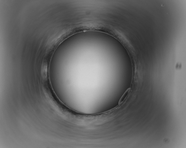 X0000113120021200908281449