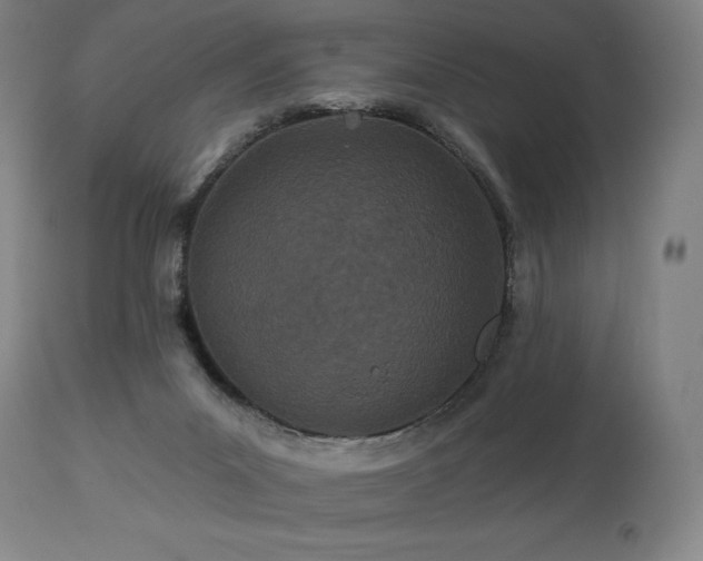 X0000113120023200908281449