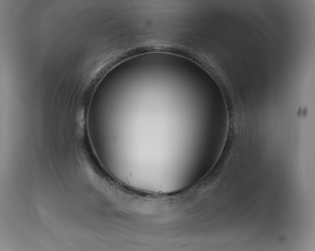 X0000113120024200908281449