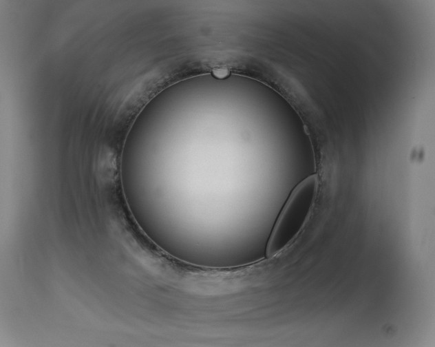 X0000113120025200908281449