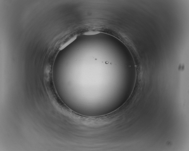 X0000113120026200908281449