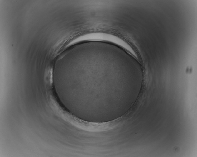 X0000113120027200908281449