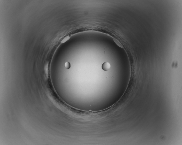 X0000113120028200908281449