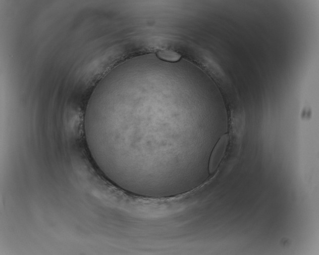 X0000113120029200908281449