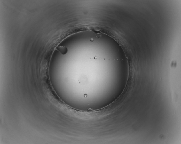 X0000113120030200908281449