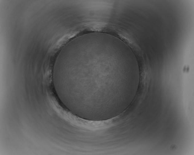 X0000113120031200908281449