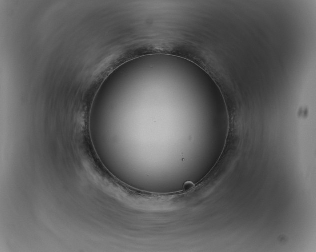 X0000113120032200908281448