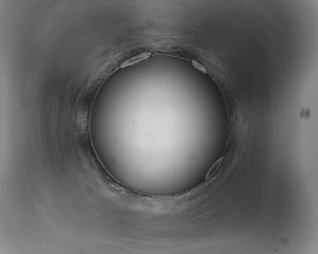 X0000113120033200908281448