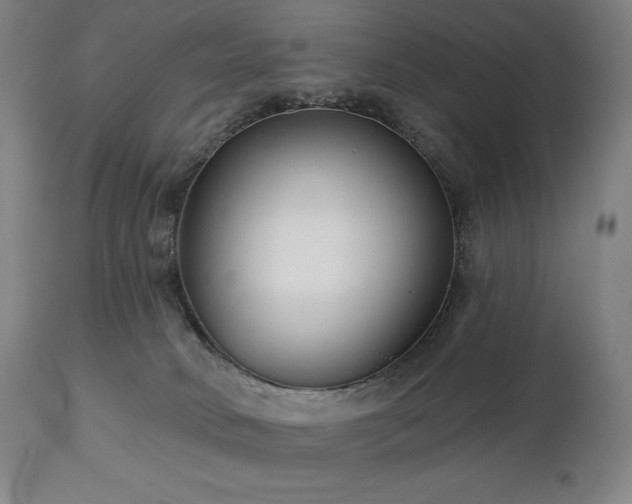 X0000113120034200908281448