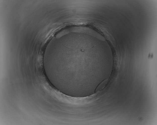 X0000113120035200908281448