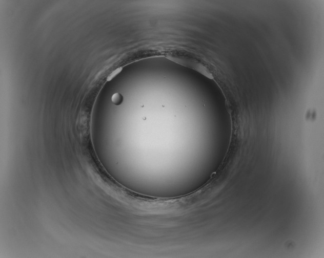 X0000113120036200908281448