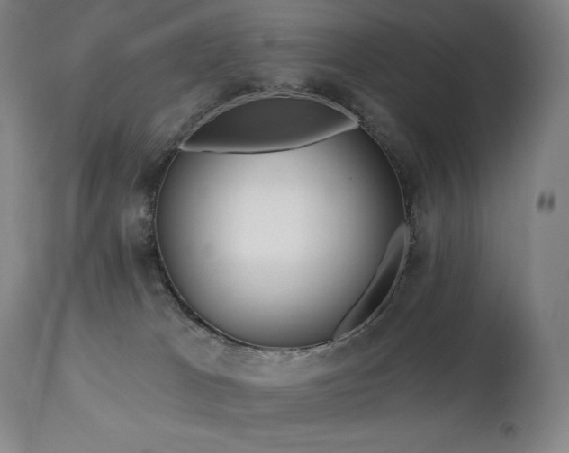 X0000113120037200908281448