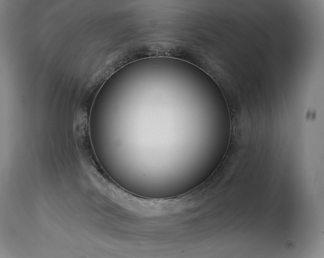 X0000113120038200908281448