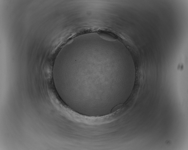 X0000113120039200908281448