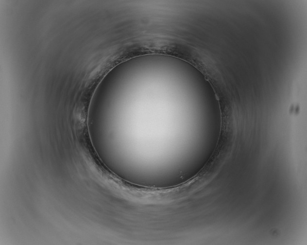 X0000113120040200908281448