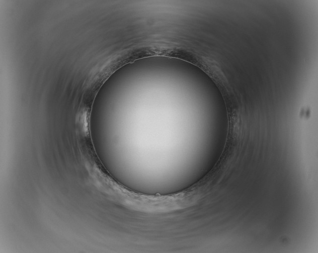 X0000113120042200908281448