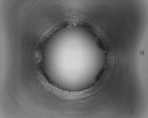 X0000113120043200908281448