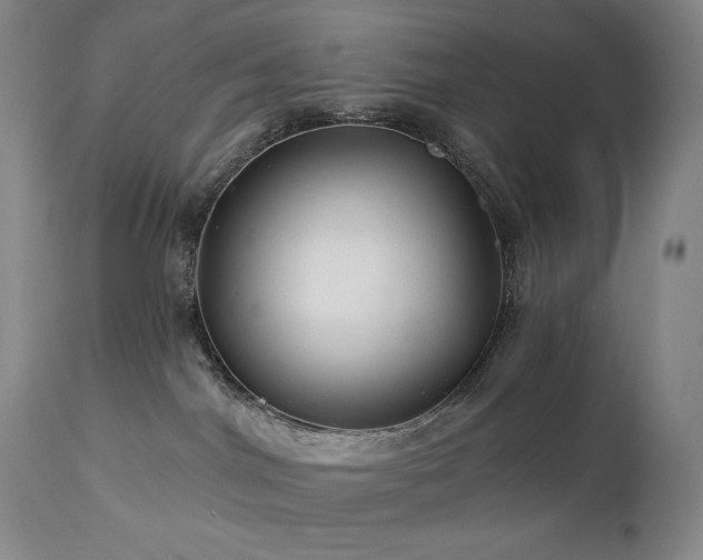 X0000113120044200908281448