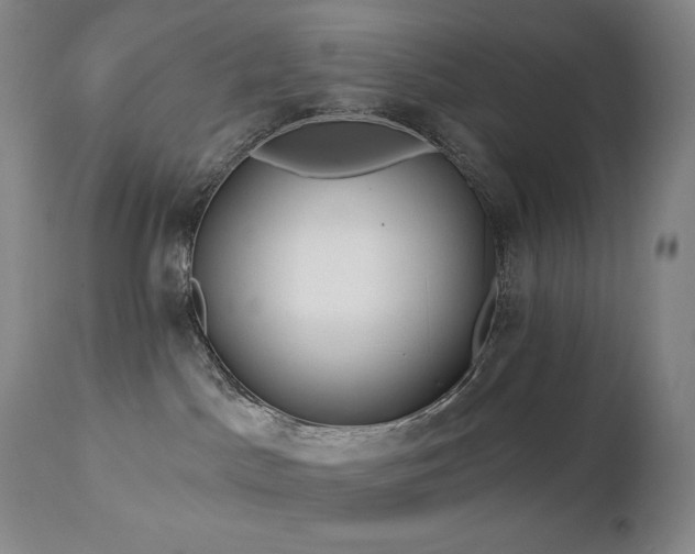 X0000113120045200908281448