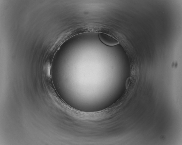 X0000113120046200908281448