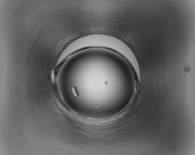 X0000113120047200908281448